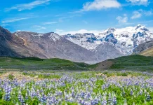 Cómo afrontar las dificultades con fe