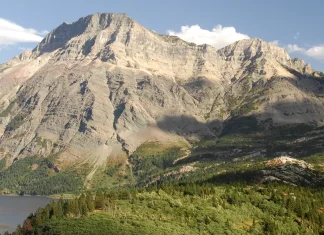 Para crecer en la fe