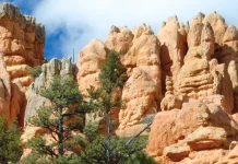 Alabar: Importante pero no siempre fácil