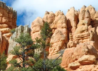 Alabar: Importante pero no siempre fácil