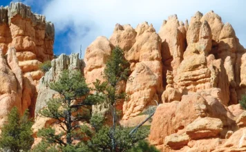 Alabar: Importante pero no siempre fácil