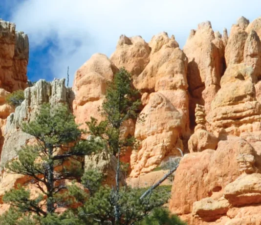 Alabar: Importante pero no siempre fácil