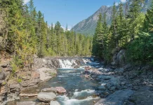 La búsqueda de Dios