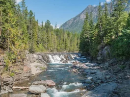 La búsqueda de Dios