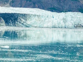 La necesidad de la paciencia