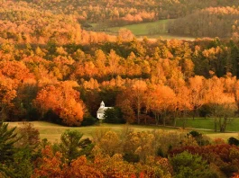 Cómo convertirnos en personas pacientes