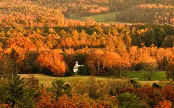 Cómo convertirnos en personas pacientes