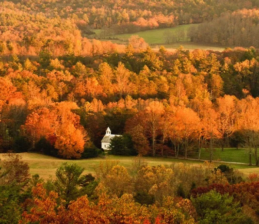 Cómo convertirnos en personas pacientes