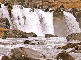 Cómo lidiar con los falsos maestros