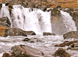 Cómo lidiar con los falsos maestros