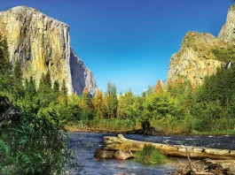 La condición de Dios para su bendición plena