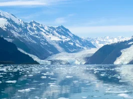 Para discernir la bondad de Dios