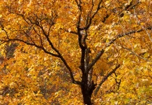 Las herramientas de Dios para santificarnos