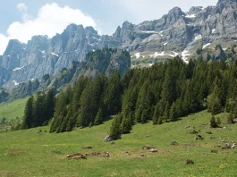 La santificación: El gran plan de Dios