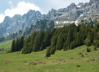 La santificación: El gran plan de Dios