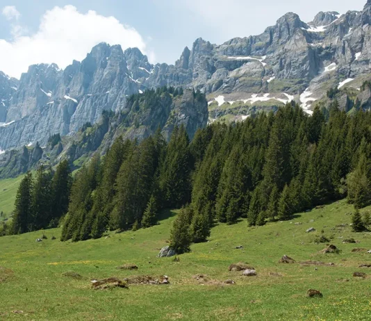 La santificación: El gran plan de Dios