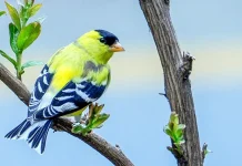 ¿A dónde acudir en busca de consejo?