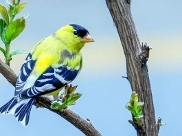 ¿A dónde acudir en busca de consejo?