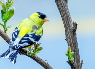¿A dónde acudir en busca de consejo?