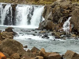 Las pruebas de la vida