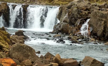 Las pruebas de la vida