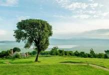 Para experimentar el amor de Dios