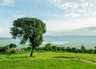Para experimentar el amor de Dios