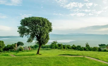 Para experimentar el amor de Dios