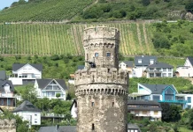 Arraigados en Cristo