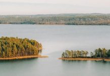 Aristóteles a la mesa
