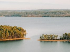 Aristóteles a la mesa