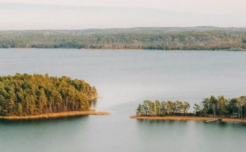 Aristóteles a la mesa