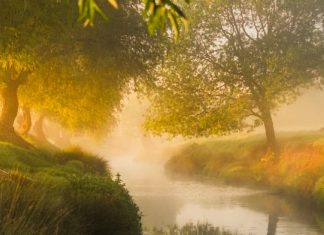 Atisbos de la gloria de Dios