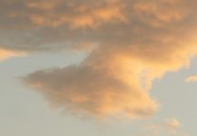 ¡Ojos puestos en Cristo!