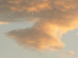 ¡Ojos puestos en Cristo!