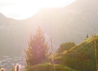 Alimentar a los necesitados