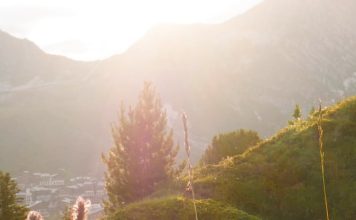 Alimentar a los necesitados
