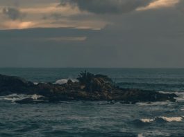 Genealogía espiritual