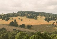 Dios está en todas partes