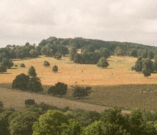 Dios está en todas partes