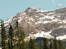 Cavar profundo por sabiduría