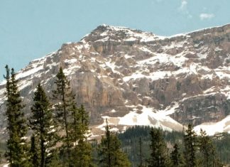 Cavar profundo por sabiduría