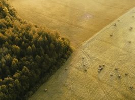 Ver lo que ha hecho Dios