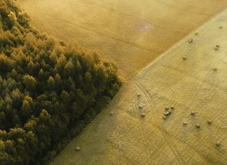 Ver lo que ha hecho Dios