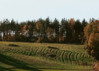 La libertad que Dios da