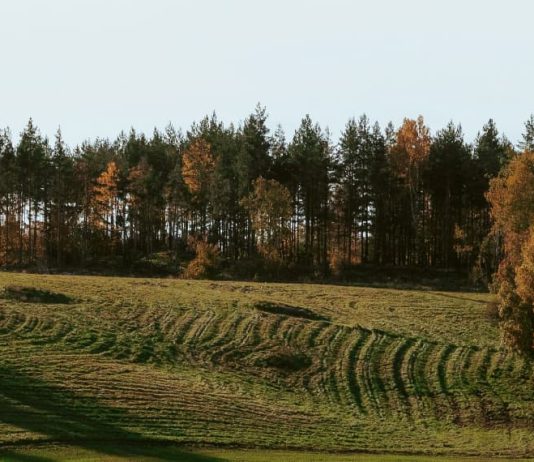 La libertad que Dios da