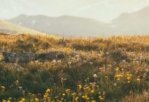 Abrazar la verdad de Cristo