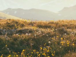 Abrazar la verdad de Cristo