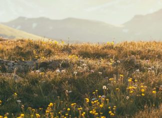 Abrazar la verdad de Cristo