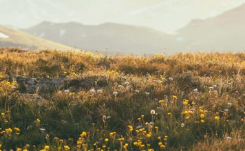 Abrazar la verdad de Cristo